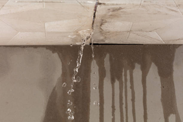 Professional Structural Drying technician working in Dundee, OH